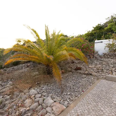 Casa Carpe Diem Villa *